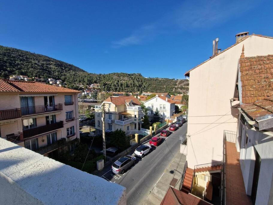 Appartement Classe 2 Etoiles, 2 Chambres, Renove, Climatise Amelie-les-Bains-Palalda Luaran gambar